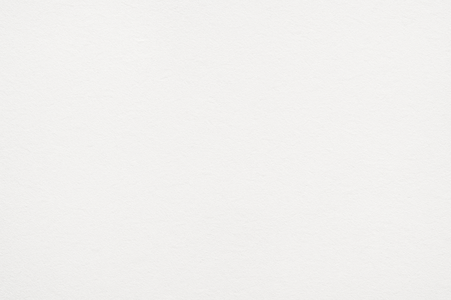 FONDO BLANCO